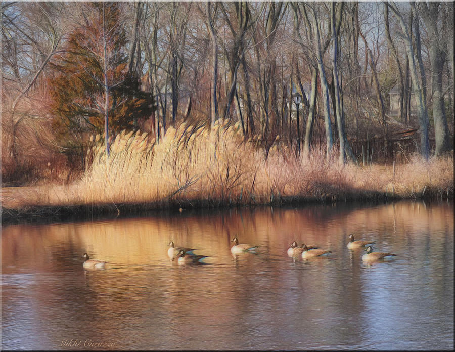 Duckpond in winter Photograph by Mikki Cucuzzo