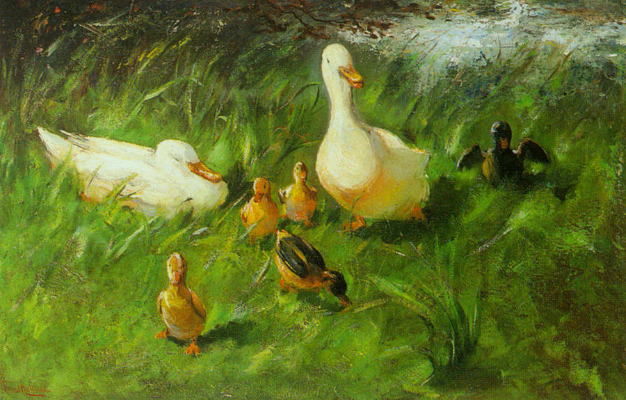 Bird Digital Art - Ducks And Ducklings On A Riverbank by Franz Helfferich 