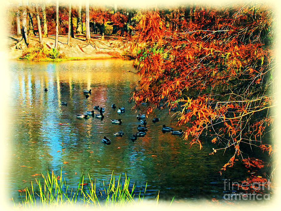 Fall Photograph - Ducks at Hinckley Lake Boathouse by Joan  Minchak