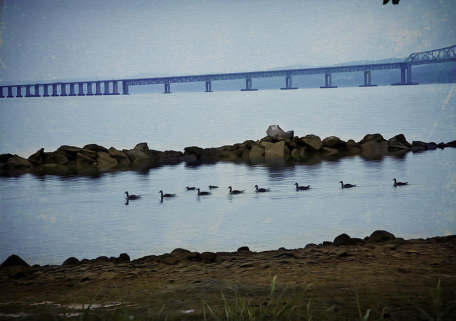 Ducks At The Tappan Zee Bridge Photograph