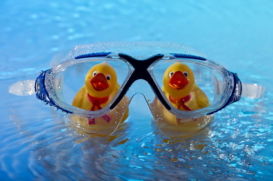 Ducks Behing Swim Goggles Photograph by Ian Gwinn