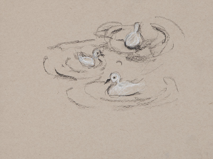 Ducks Charcoal Study #1 Drawing by Greg Kopriva