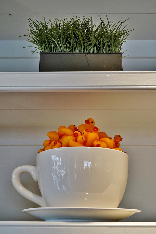 Ducks in a Cup Photograph by Jean Goodwin Brooks