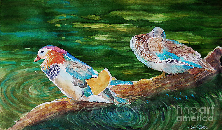 Landscapes Painting - Ducks In A Pond by Marisa Gabetta Landscapes Painting - Ducks In A Pond by Marisa Gabetta