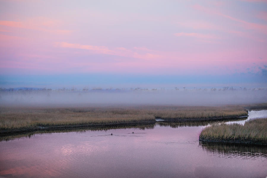 Ducks In The Mist Photograph