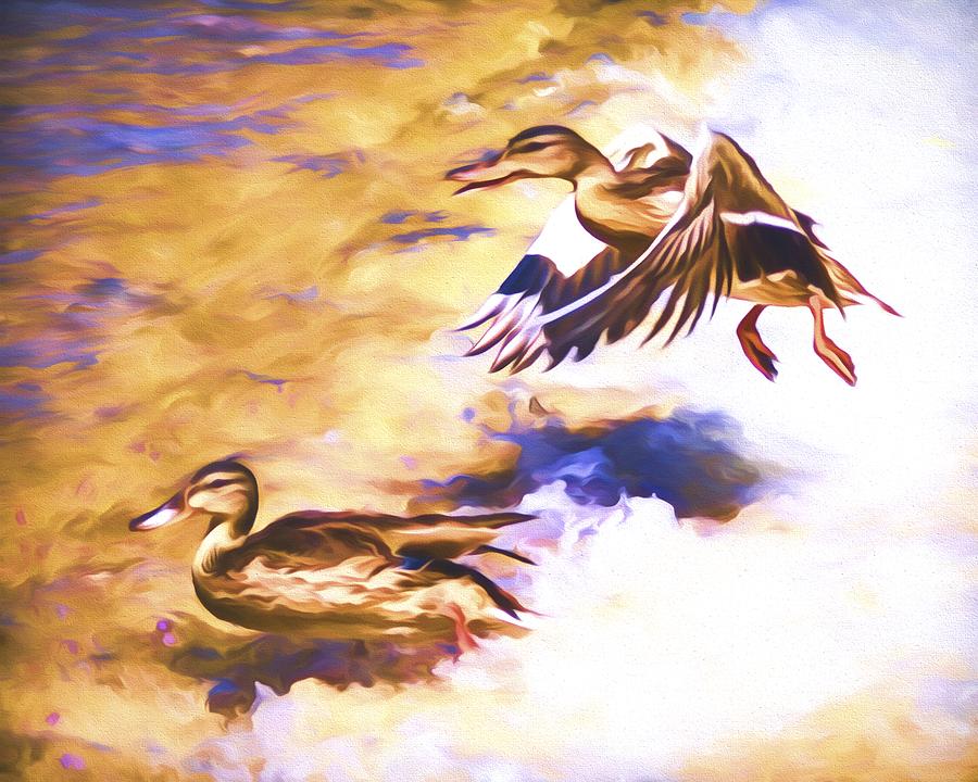 Wildlife Mixed Media - Ducks Landing by Priya Ghose