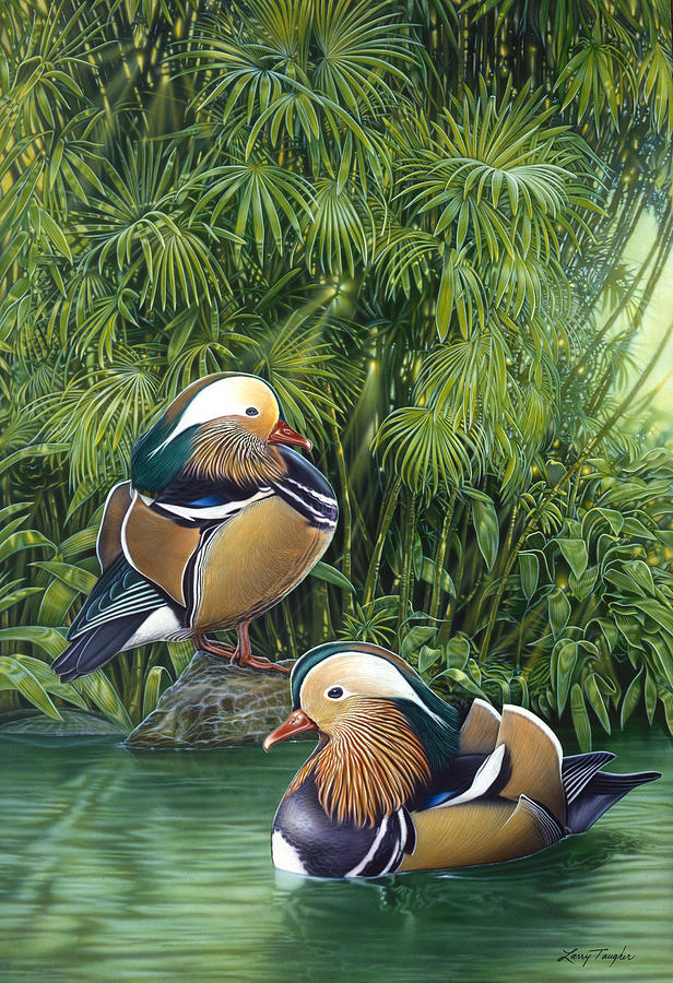 Jungle Painting - Ducks by JQ Licensing