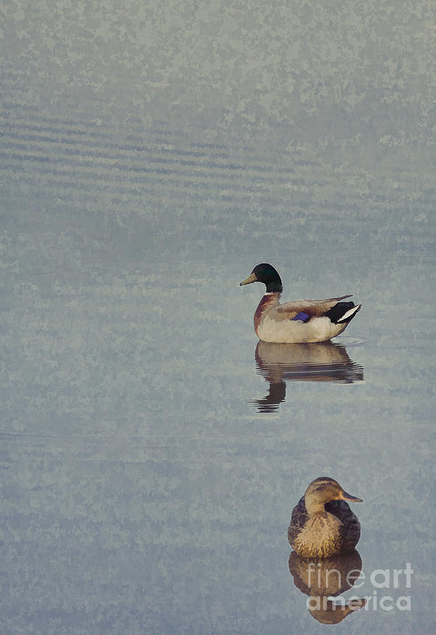 Ducks on Blue Lake Digital Art by Randy Steele