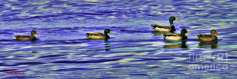 Ducks On Colored Water Photograph by Blake Richards