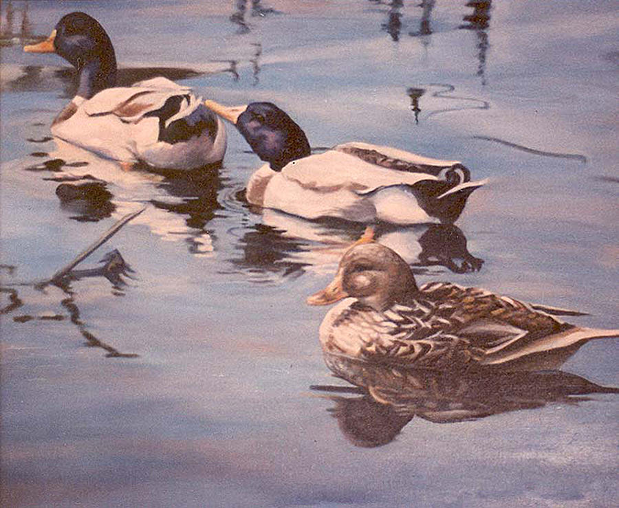 Ducks on the Cachuma Painting by Donna Tucker