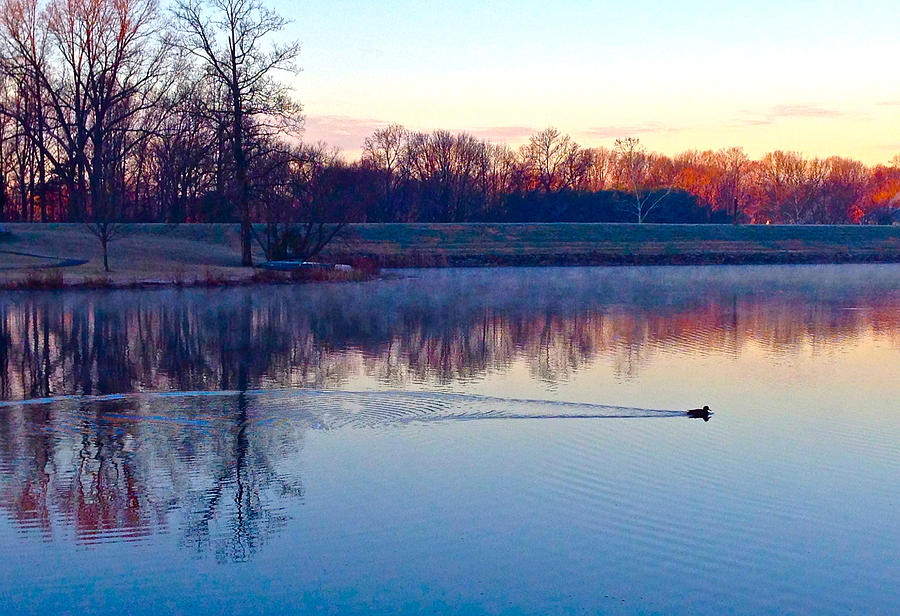 Ducks Sunrise Photograph by Lexi Heft