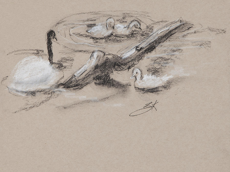 Ducks Charcoal Study #2 Drawing by Greg Kopriva