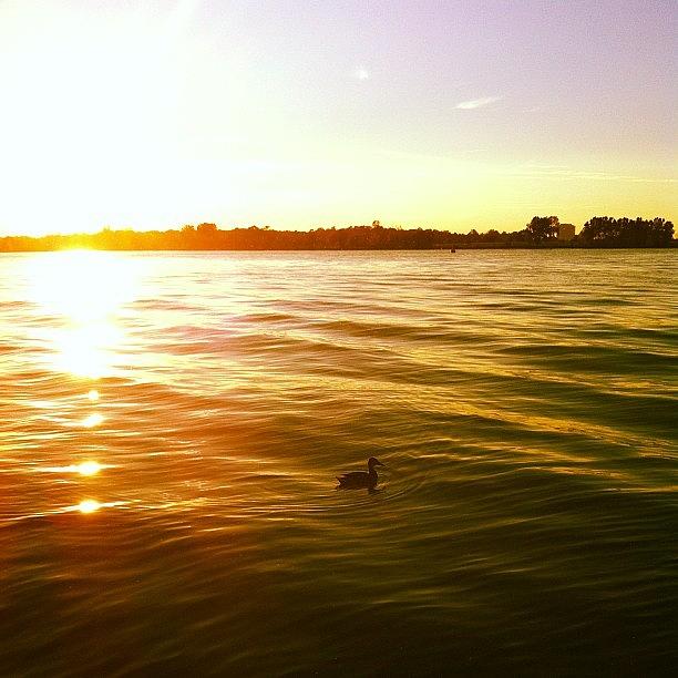 Sunset Photograph - #ducky #abars #sunset #detroit by Kelly Yoell
