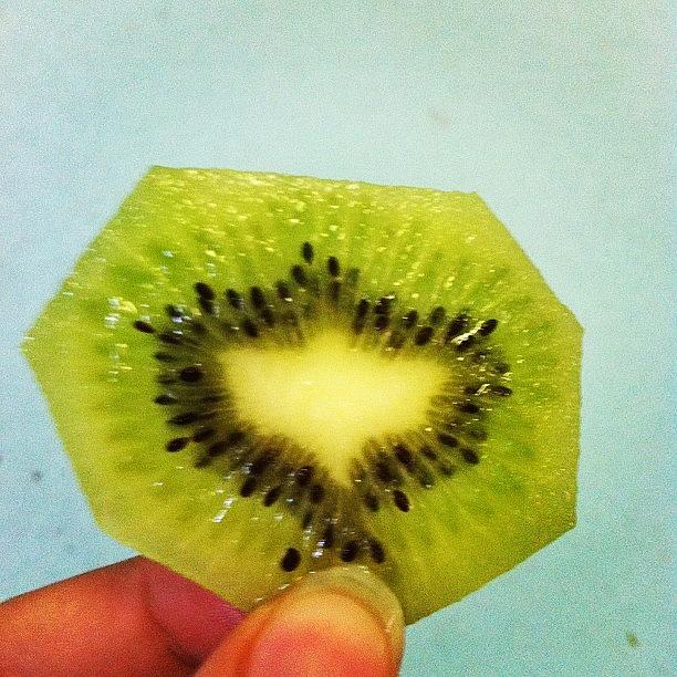Dude!! I Love Kiwi!! Xd And Now My Photograph by Gaby Vazquez