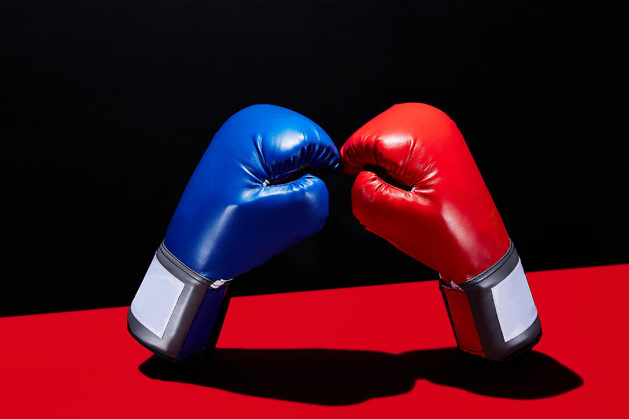 Dueling Boxing Gloves Photograph by Shana Novak