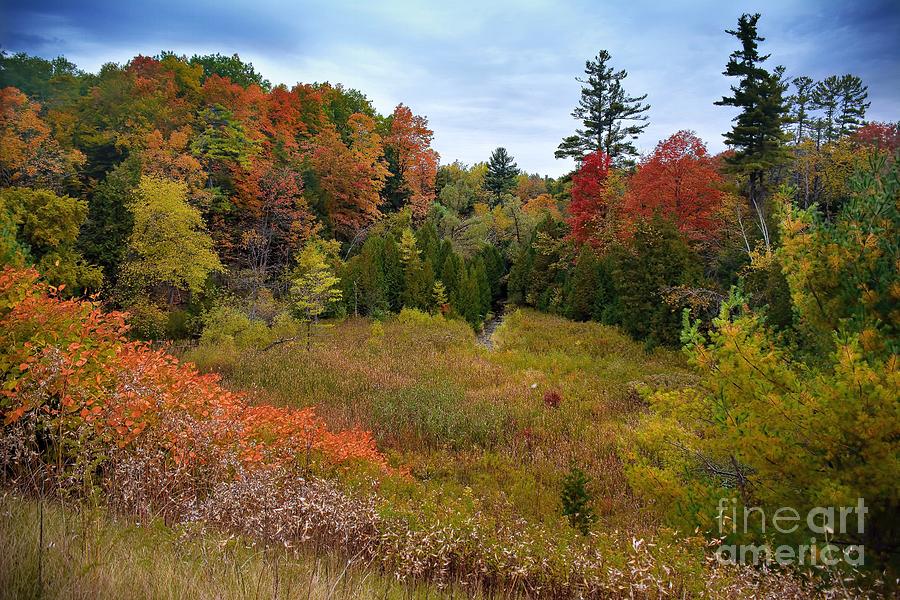 Duffins Creek Autumn Photograph by Henry Kowalski