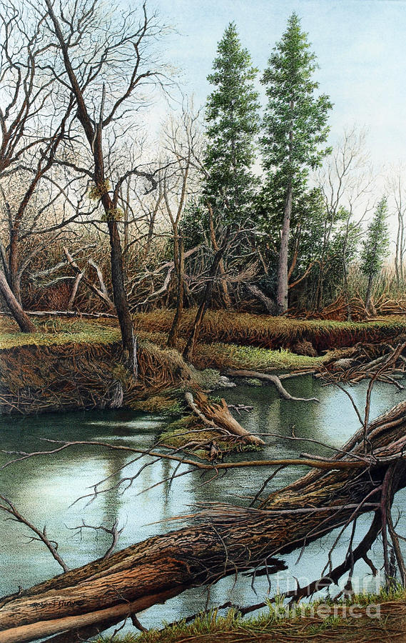 Tree Painting - Duffins Creek IV by Robert Hinves