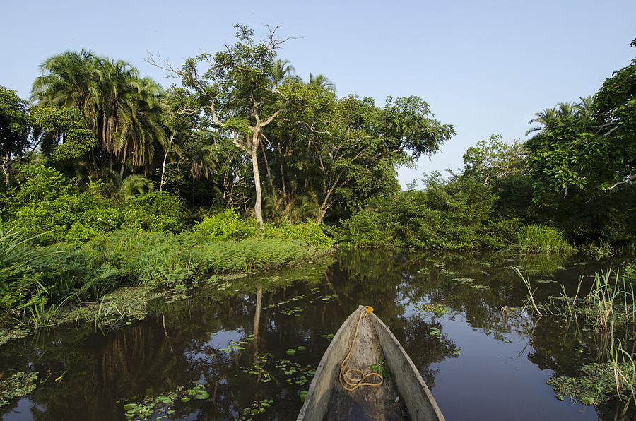 Dugout Canoe On Lekoli River Drc Photograph by Pete Oxford