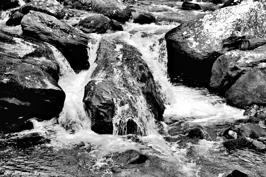 Nature Photograph - Dukes Creek near Anna Ruby Falls by Tara Potts