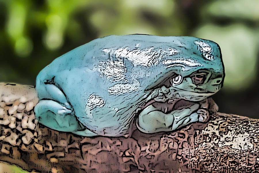 00014 Dumpy Tree Frog Digital Art by Photographic Art by Russel Ray Photos