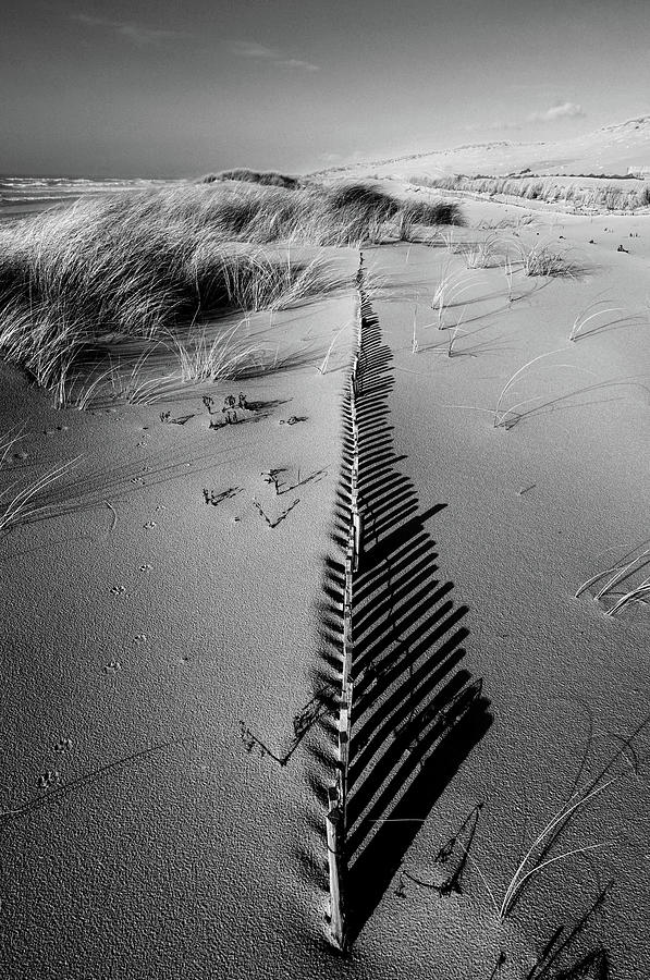 Dune # 5 Photograph by Pascal Rousse
