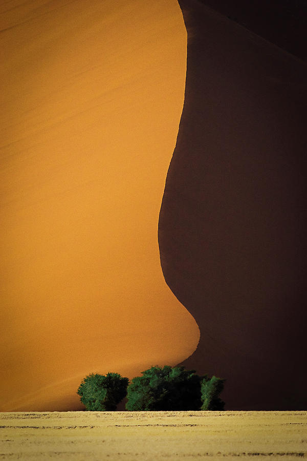 Abstract Photograph - Dune 1 by John Rickwood