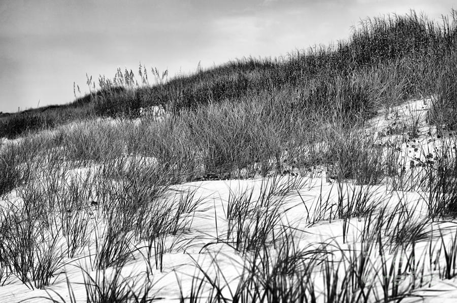 Dune Angles at Sunset Beach mono Photograph by John Rizzuto