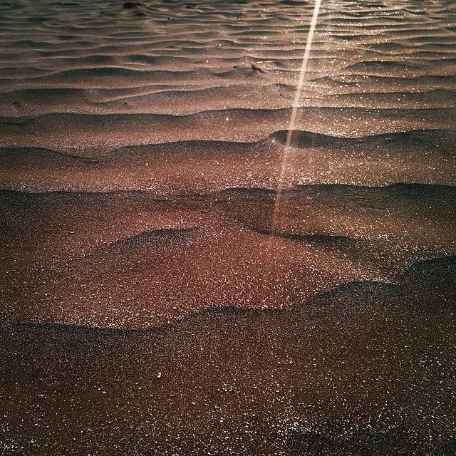 Beach Photograph - Dune by Bats AboutCats