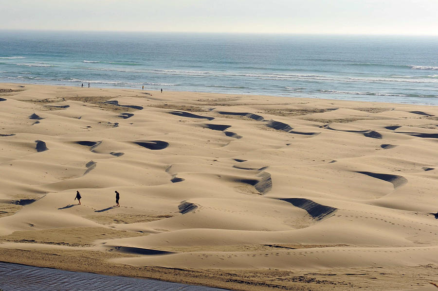 Dune Beach Photograph by Richard Gehlbach