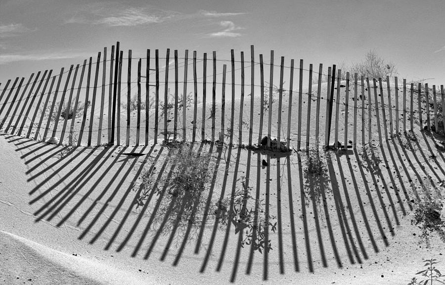 Dune Builder BW Photograph by Scott Campbell