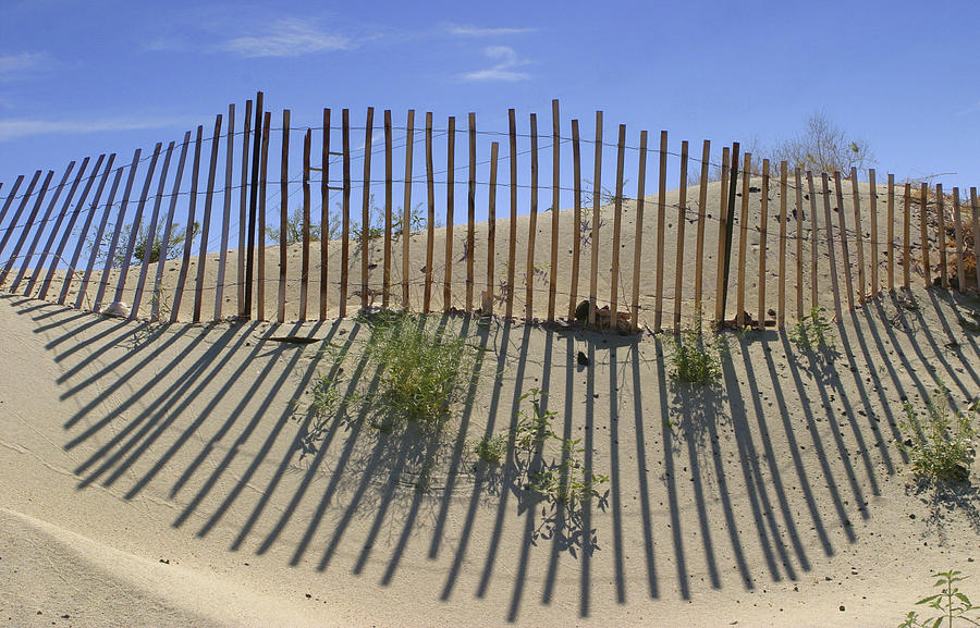 Spring Photograph - Dune Builder by Scott Campbell