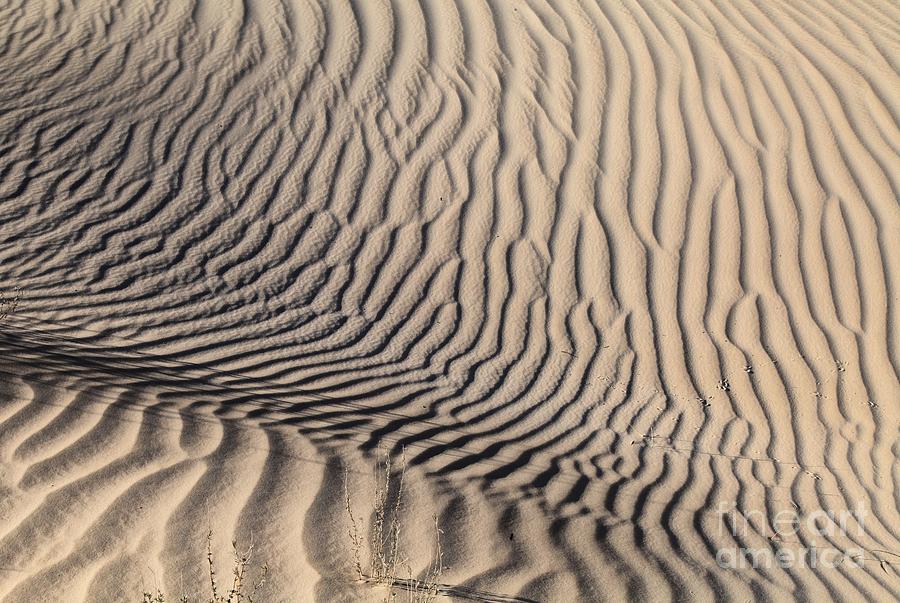 Dune Depression Photograph by Adam Jewell