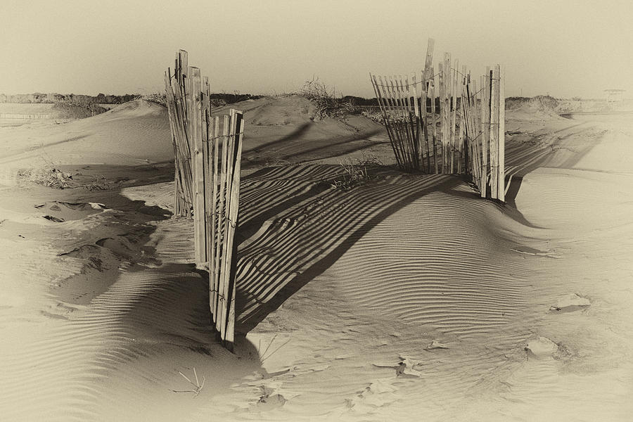 Dune Erosion Fence Outer Banks NC Antique Plate IMG_3761 Photograph by Greg Kluempers