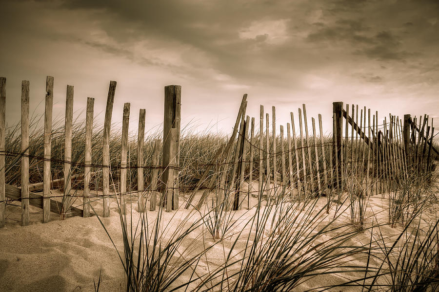 Dune Fence Photograph by Brian Caldwell
