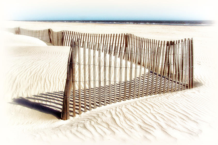 Dune fence Photograph by Carolyn Derstine