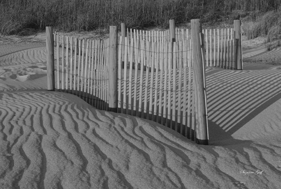 Black And White Photograph - Dune Fence in Black and White by Suzanne Gaff