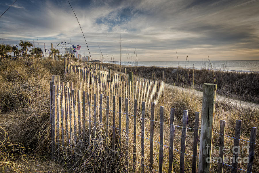 Dune Fence Photograph by Matthew Trudeau