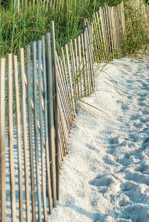 Dune Fence on Beach  Photograph by Alex Grichenko