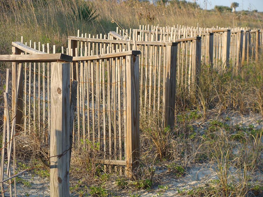 Dune Fence Photograph by Ric Daly - Fine Art America