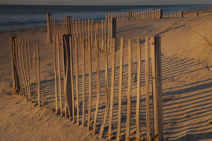 Dune Fences At First Light II Photograph by Steven Ainsworth
