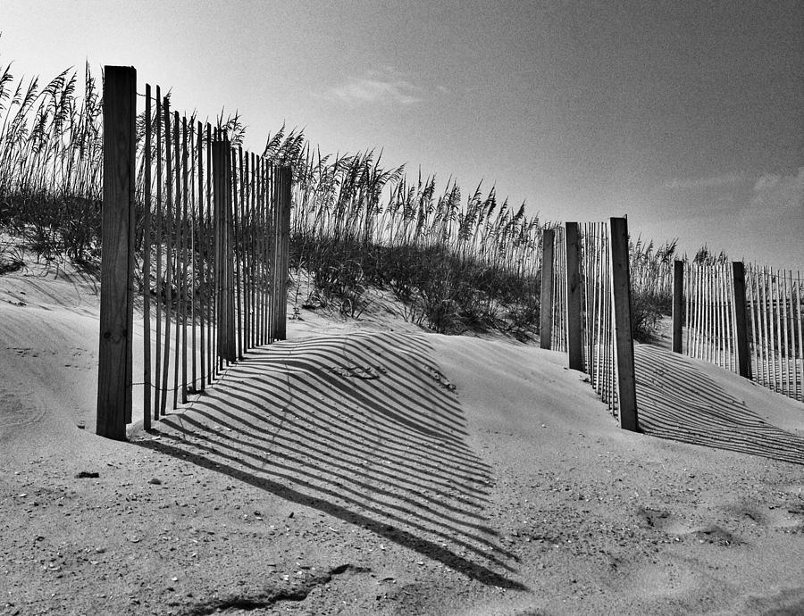 Dune Fences Photograph by Dave Hall