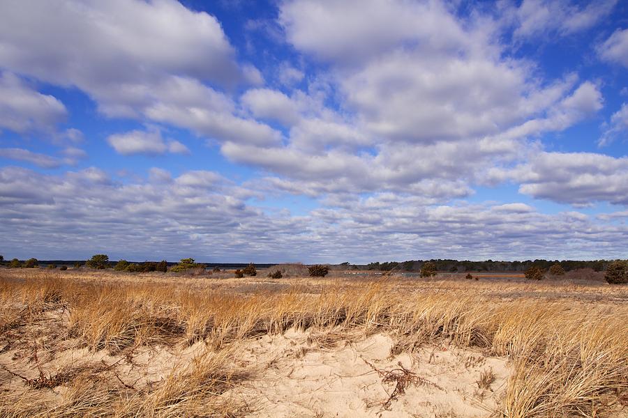 Dune Grass and Clouds Photograph by Allan Morrison