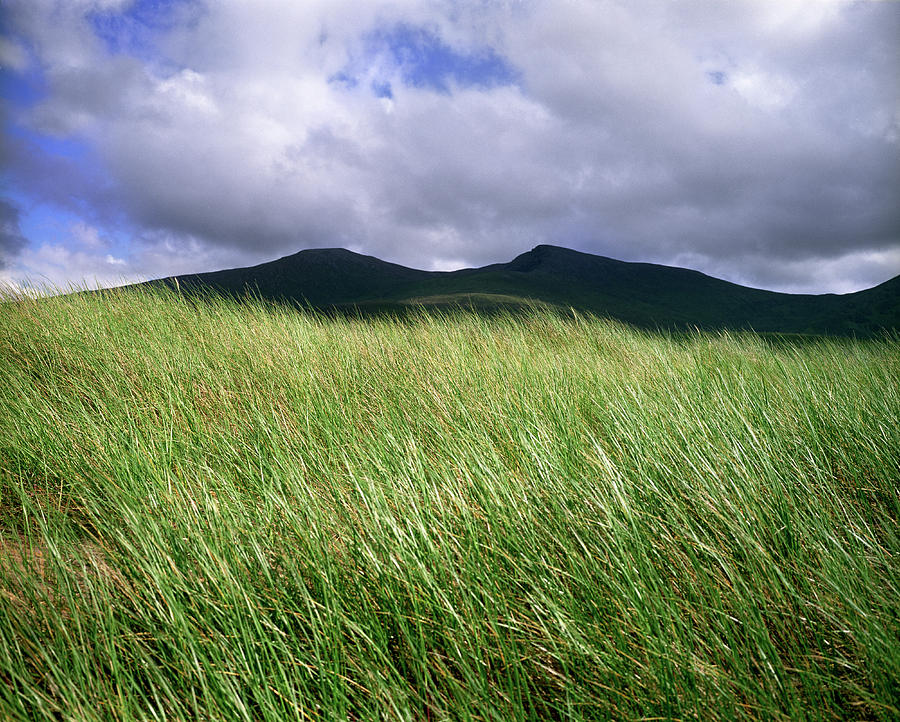 Dune Grass And Mountains In Ireland Photograph by Ryan Donnell - Fine ...