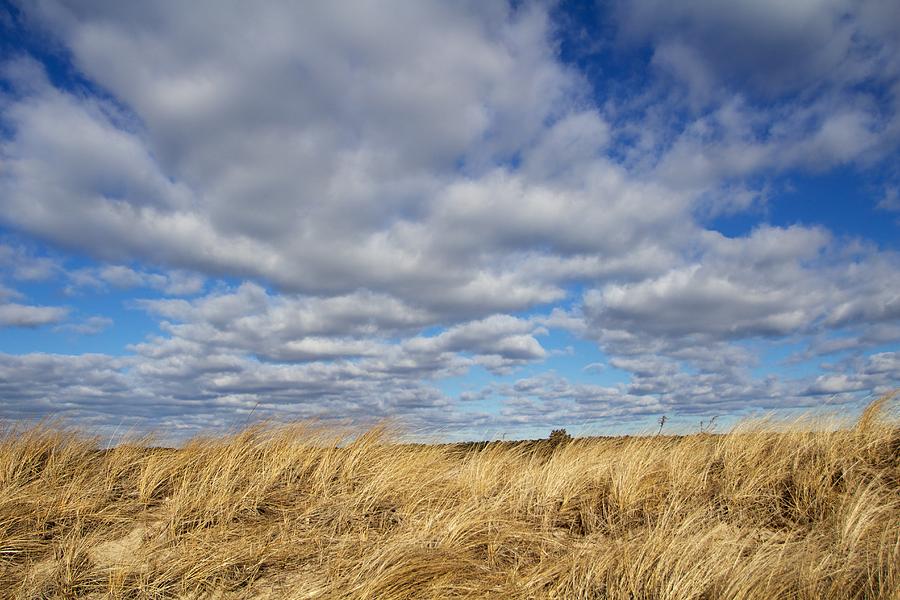 Dune grass and sky Photograph by Allan Morrison