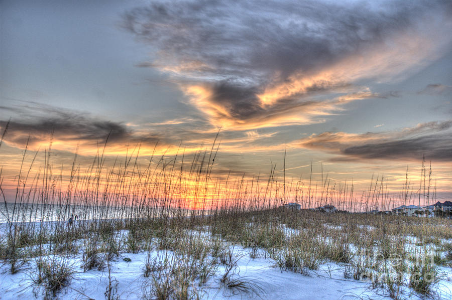 Sunset Photograph - Dune grass by Jim Wright
