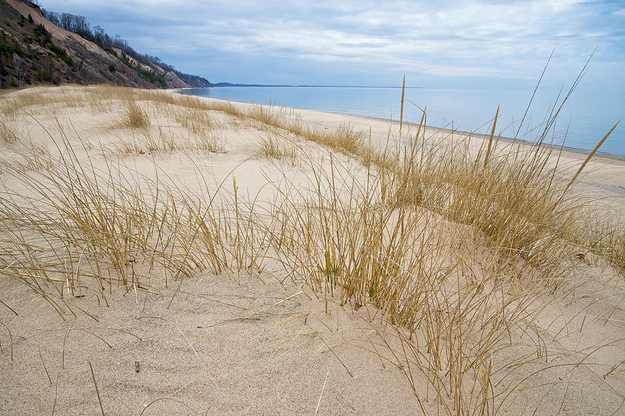 Dune Grass on Lake Michigan Photograph by Mary Lee Dereske