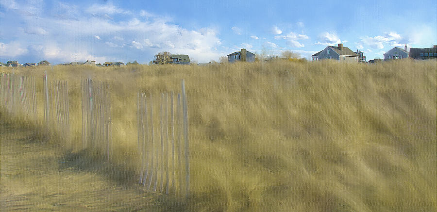 Dune Grasses Plum Island MA Photograph by Linda Szabo