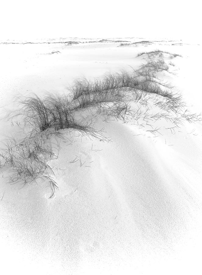 Dune in Blowing Wind Photograph by Bill Chambers