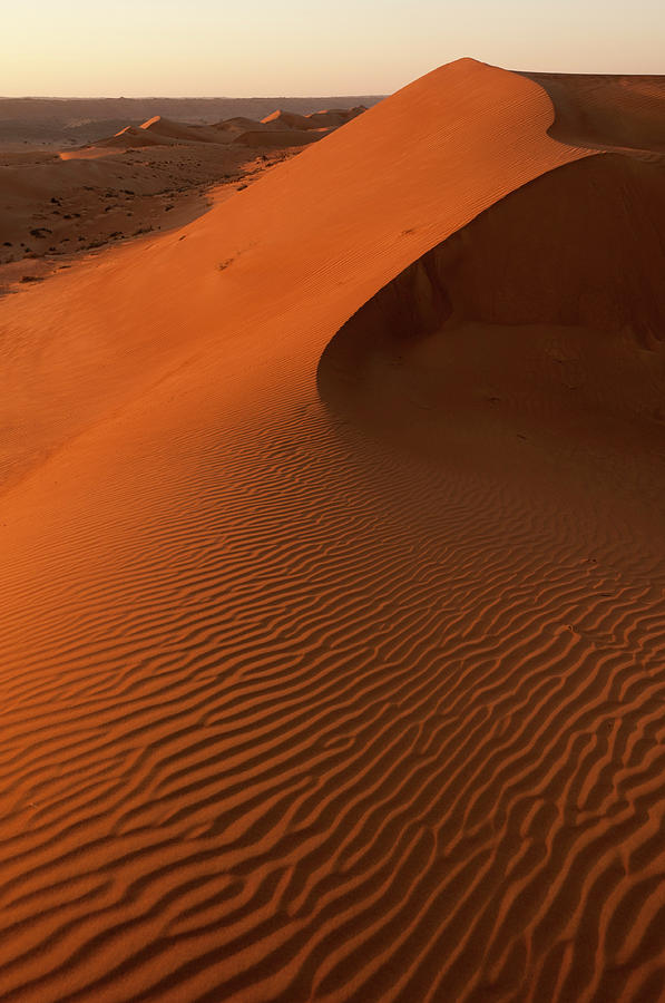 Dune Landscape Photograph by John Elk