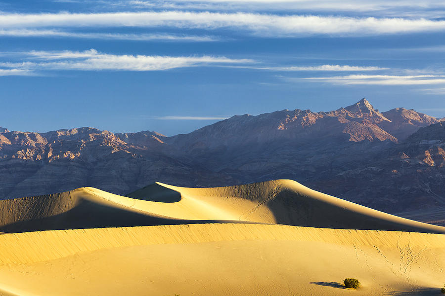 Dune Light Photograph by Patrick Downey
